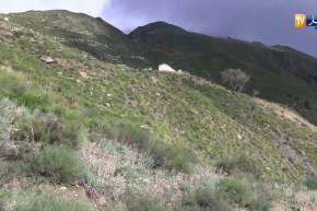 بجاية: العثور على جميع الأشخاص الـ 14 المختفين بأعالي جبال خراطة