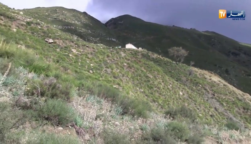 بجاية: العثور على جميع الأشخاص الـ 14 المختفين بأعالي جبال خراطة