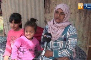 عين تيموشنت: بعيدا عن أعين السلطات .. فاطمة وبناتها يعشن بحاوية في غابة