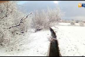 ولاية سعيدة تكتسي الحلة البيضاء