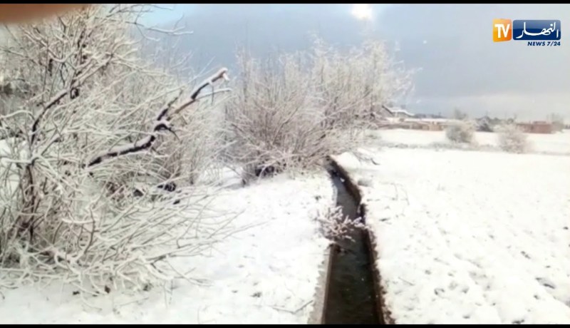 ولاية سعيدة تكتسي الحلة البيضاء