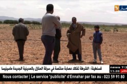 البيض: زراعة الذرة في مواجهة عراقيل عدة