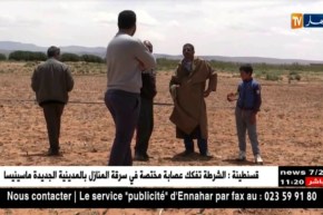 البيض: زراعة الذرة في مواجهة عراقيل عدة