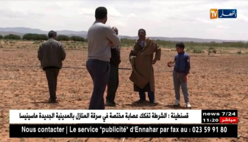 البيض: زراعة الذرة في مواجهة عراقيل عدة