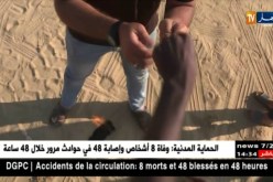 غزة: الصهاينة يدعون إستهداف مسؤول بخلايا الطائرات الورقية والبالونات الحارقة