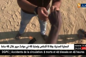 غزة: الصهاينة يدعون إستهداف مسؤول بخلايا الطائرات الورقية والبالونات الحارقة