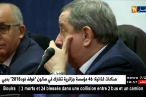 سوناطراك تهدف إلى تطوير القطاع الغازي وفرع البتروكيمياء أفاق 2030