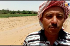 البيض:خسائر معتبرة جراء الأمطار الأخيرة