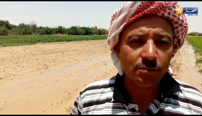 البيض:خسائر معتبرة جراء الأمطار الأخيرة