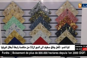 تجارة خارجية: تعليق إستيراد السيراميك..مؤسسات إسبانية تناور..!!