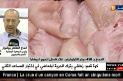 الدجاج بـ 450 دينار للكيلوغرام…غلاء فاحش للحوم البيضاء