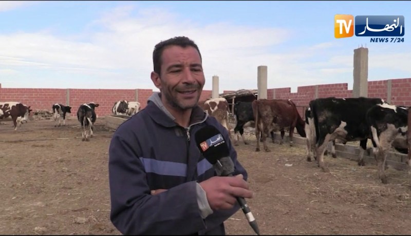 خنشلة: شاب ينجح في توسيع مستثمرة لتربية أبقار الحلوب ببغاي