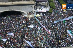 أستاذ جامعي: “حراك نوفمبري بكل معنيه..يجب تحرير الشعب الجزائري برحيل العصابة الحاكمة”