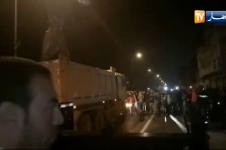 لحظة نقل الحوت الذي نفق في سواحل بولوغين بالعاصمة