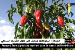 باتنة/ إنتشار الأمراض والحرارة..عوامل تتسبب في تراجع النشاط الفلاحي ببلدية سفيان