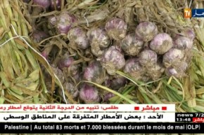 المستهلك: آراء التجار حول بيع الخضر بزوائدها