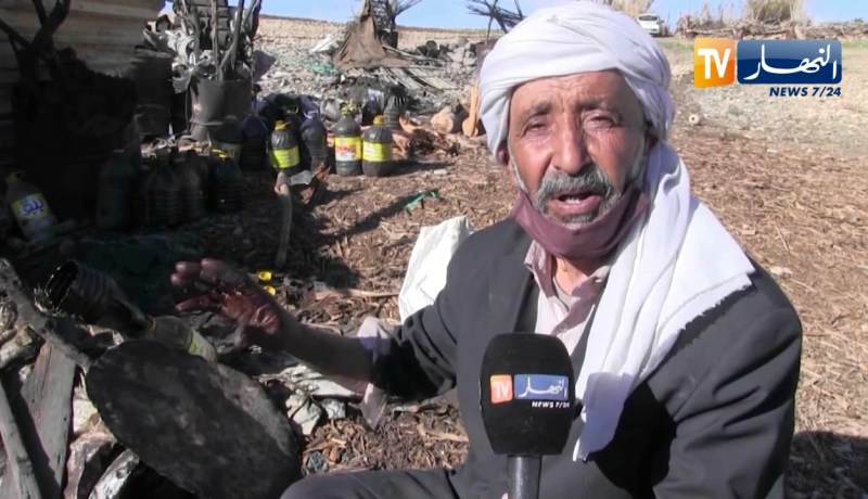 الجلفة: إستخلاص القطران من شجرة العرعار.. حرفة تصارع البقاء