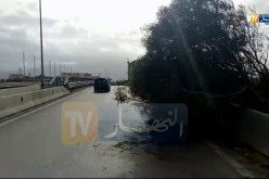 البليدة/ رياح قوية تتسبب في سقوط أشجار بمدخل بلدية بوفاريك