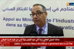 صناعة: هذه هي التفاصيل عن الأقطاب الصناعية المتخصصة
