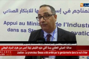 صناعة: هذه هي التفاصيل عن الأقطاب الصناعية المتخصصة