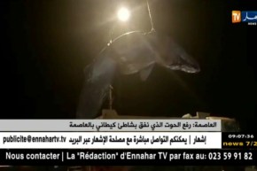 العاصمة: رفع الحوت الذي نفق بشاطئ كيطاني بالعاصمة