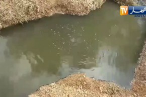 سكيكدة: كارثة بيئية تهدد صحة سكان الحي 17 بعزابة