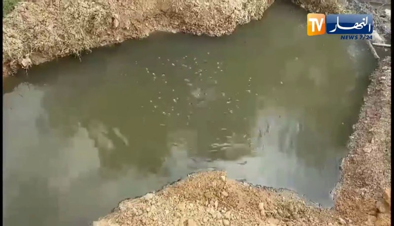 سكيكدة: كارثة بيئية تهدد صحة سكان الحي 17 بعزابة