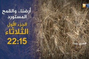 سري جدا/ “مافيا الحبوب”..هكذا يتم توجيه القمح بطرق غير شرعية تأتيكم سهرة الثلاثاء على 22:15