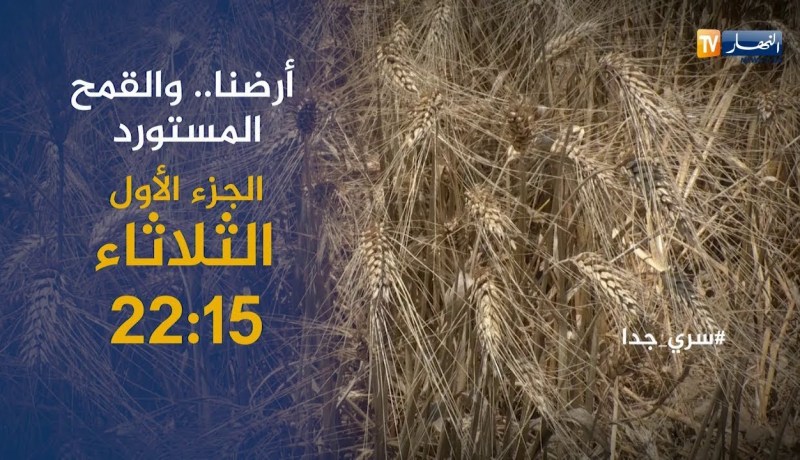 سري جدا/ “مافيا الحبوب”..هكذا يتم توجيه القمح بطرق غير شرعية تأتيكم سهرة الثلاثاء على 22:15