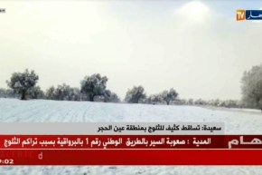 سعيدة: تساقط كثيف للثلوج بمنطقة عين الحجر