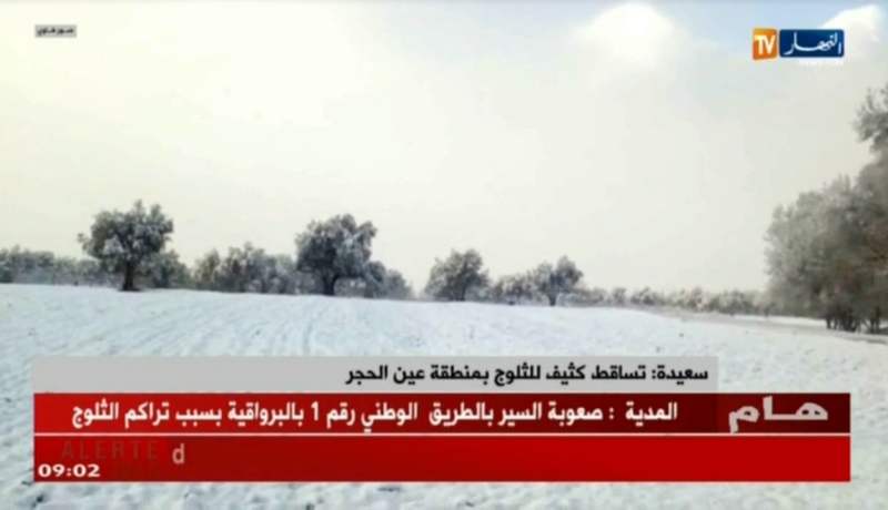 سعيدة: تساقط كثيف للثلوج بمنطقة عين الحجر