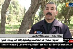 طاقة: النتائج الإيجابية لإجتماع الجزائر التاريخي تمهد لميلاد تحالف طاقوي جديد