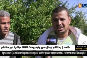 المسيلة : خسائر كبيرة في فاكهة الرمان بمنطقة الخرزة والسبب ندرة المياه