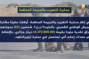 أنفوغرافيا/ هذه هي أبرز عمليات الجيش في محاربة التهريب والجريمة المنظمة