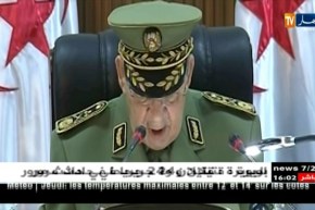 قايد صالح: الجيش سيواصل العمل دون كلل أو ملل لإستتباب الأمن