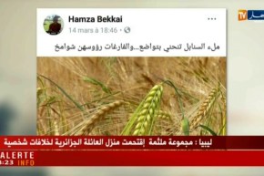 قهوة وجورنان/ هوما يغردّو…وحنا نردّو