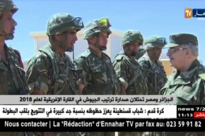 الجزائر ومصر تحتلان صدارة ترتيب الجيوش في القارة الإفريقية لعام 2018