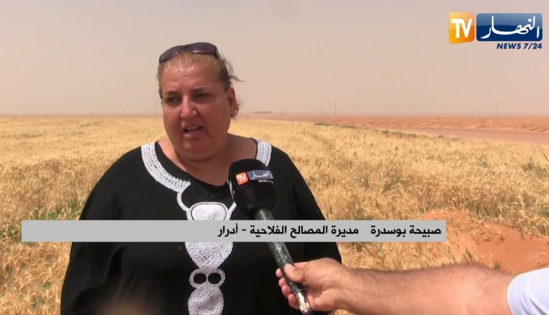 أدرار: إنطلاق حملة الحصاد وتوقعات إنتاج أزيد من 42 قنطار في الهكتار من القمح