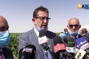أدرار: وزير الفلاحة  سيتم إطلاق القرض التعاضدي لمساعدة الفلاحين