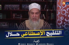 الشيخ شمس الدين يرّد..”التلقيح الإصطناعي يجوز ولاشيء عليه”