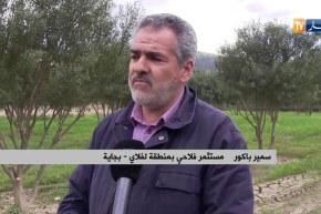 بجاية/ فلاحو منطقة لفلاي يتكبدون خسائر كبيرة بسبب سيول وادي الصومام