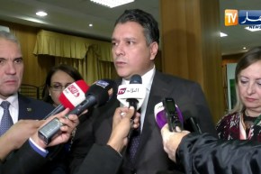 بوشارب: لا يهم عدد أعضاء الهيئة التنفيذية المهم هو المهام التي ستقوم بها