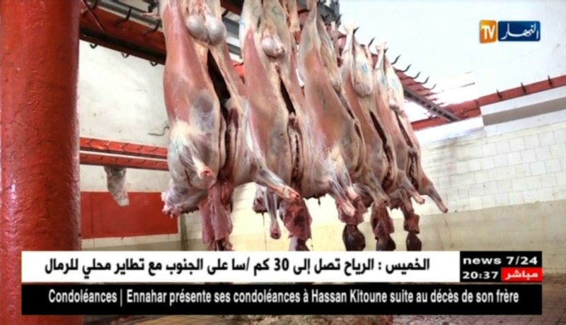 تسجيل حالة تعفن واحدة مست أضحية العيد ببلدية بوفاريك – البليدة