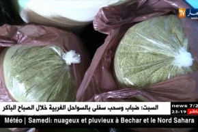 رمضان 2018: هذا ما ينقله المغتربون من سلع لدى مغادرتهم الجزائر