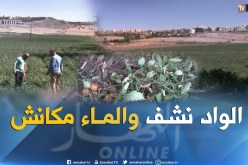 ندرة مياه السقي بقالمة يرهن مصير فلاحي شعبة الطماطم