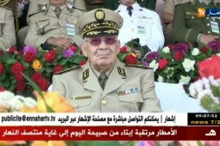 دفاع: الفريق أحمد قايد صالح في زيارة رسمية إلى الإمارات العربية المتحدة و قطر