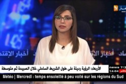 تكنولوجيا: موقع تويتر يقوم بتأمين عديد الحسابات الفرنسية