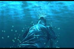 لا تفعلها أبدا.. إنها رحلة الموت خلف السراب