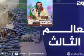 طالع هابط: شاهد العجائب .. أمور لاتحدث إلا في الجزائر
