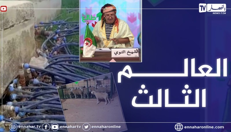 طالع هابط: شاهد العجائب .. أمور لاتحدث إلا في الجزائر
